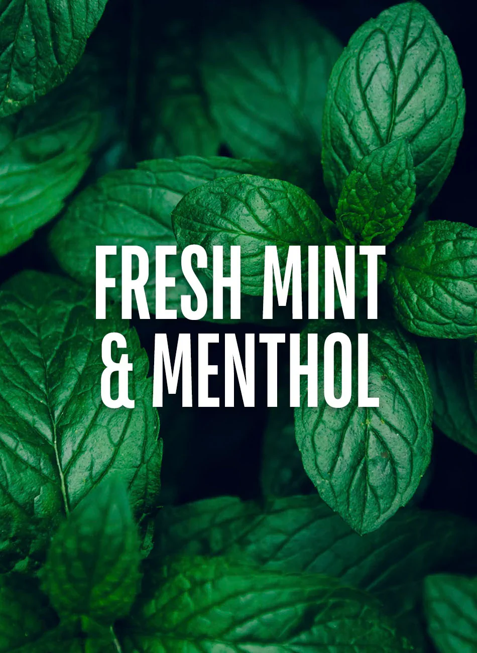 Mint Thickening Shampoo - Image 5
